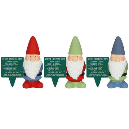Weather forecasting garden gnomes in red, green, and blue, shown side by side