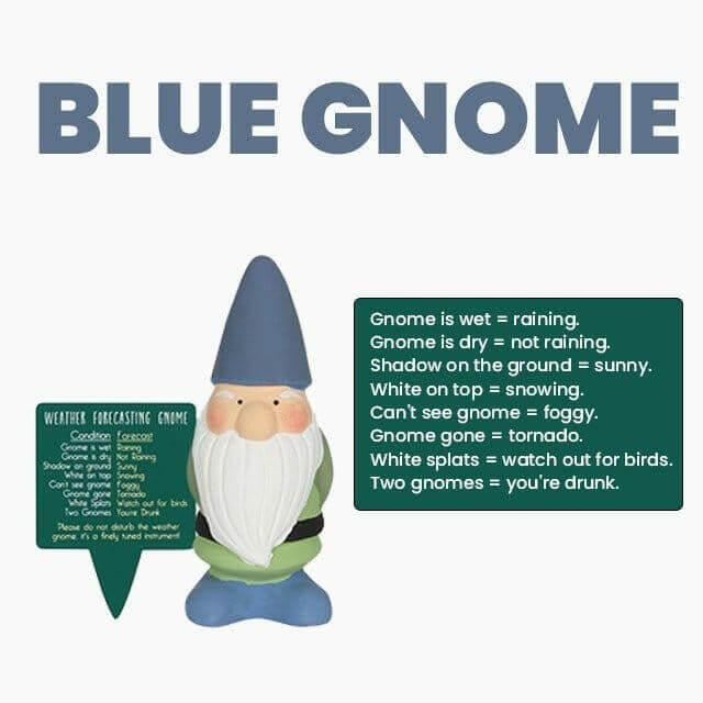 Blue weather forecasting garden gnome with green weather forecast sign