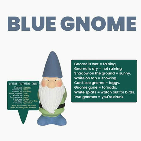 The Fashion Gift Shop: Small Garden Weather Forecasting Gnomes in 3 Colours 15cm Tall by Jones Home & Gifts, Gardening Accessories