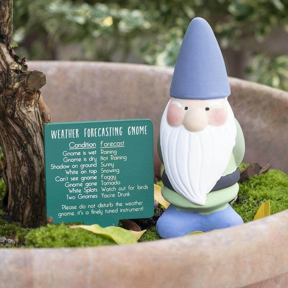Weather forecasting garden gnome in blue with green weather forecast sign