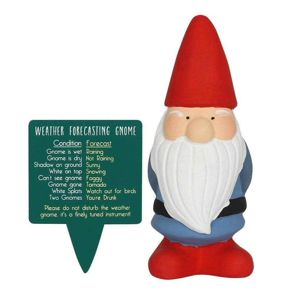 Weather forecasting garden gnome in red with green weather forecast sign