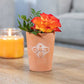 Small Terracotta Single Bee Motif Plant Pot - Pots & Planters by Jones Home & Gifts