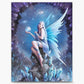 Star Gazer Canvas Wall Art by Anne Stokes - Wall Art's by Anne Stokes