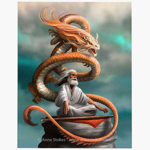 The Hermit Canvas Dragon Wall Art By Anne Stokes - Wall Art's by Anne Stokes