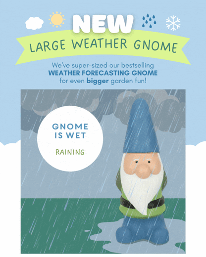 Large weather gnome standing in rain graphic, blue hat and white beard