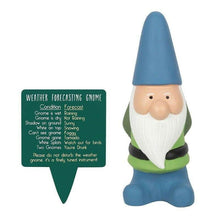 Large weather forecasting garden gnome with blue hat, white beard, and green jacket
