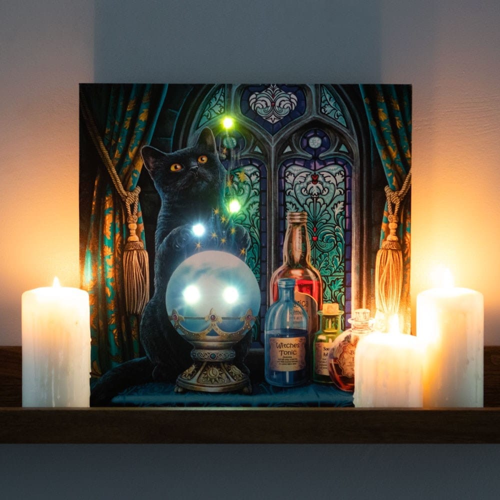 The Witches Apprentice Light Up Canvas Plaque by Lisa Parker - Wall Art's by Lisa Parker