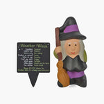 Weather Witch and Wizards Forecasting Garden Gnomes - Gardening Accessories by Jones Home & Gifts