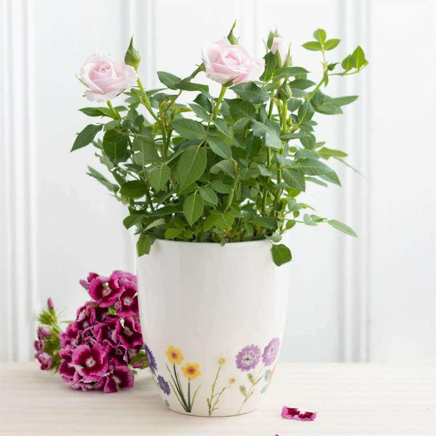 The Fashion Gift Shop: Wildflower Ceramic Plant Pot by Jones Home & Gifts, Pots & Planters