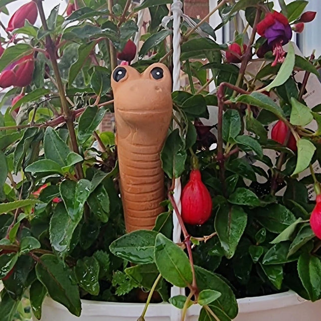 Willy the Garden Worm Water Sensor Gardeners Tool - Gardening Accessories by Jones Home & Gifts