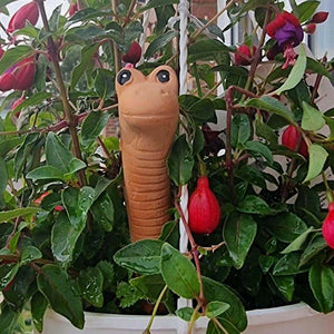 The Fashion Gift Shop: Willy the Garden Worm Water Sensor Gardeners Tool by Jones Home & Gifts, Gardening Accessories