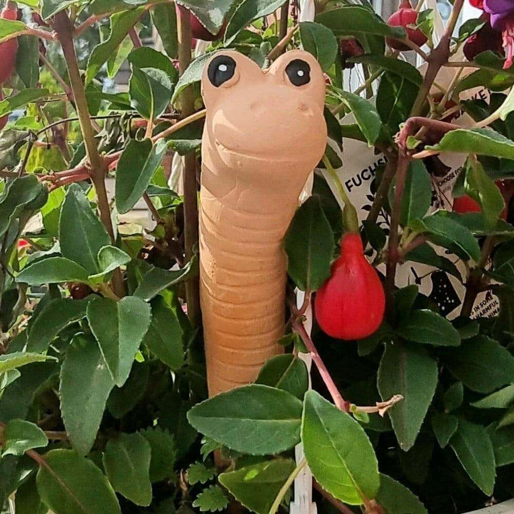 The Fashion Gift Shop: Willy the Garden Worm Water Sensor Gardeners Tool by Jones Home & Gifts, Gardening Accessories