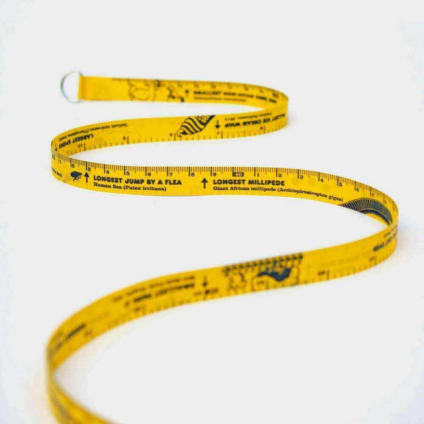 The Fashion Gift Shop: World Records Tape Measure 3M With Guinness Book Facts by Luckies, World Records Tape Measure