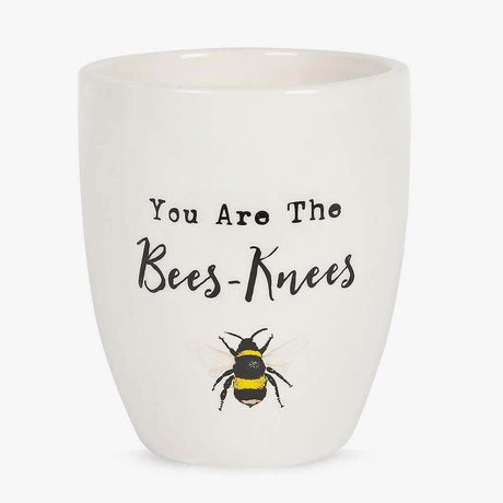 The Fashion Gift Shop: Bee Ceramic Plant Pot Featuring You Are the Bees Knees Design by Jones Home & Gifts, Pots & Planters