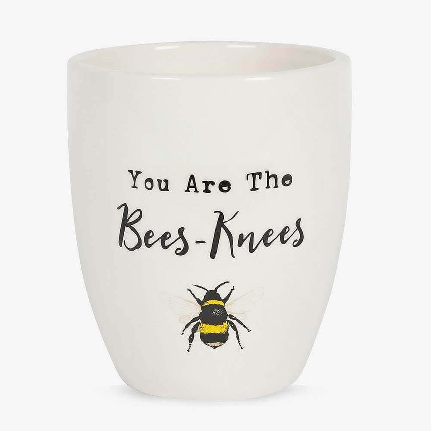The Fashion Gift Shop: Bee Ceramic Plant Pot Featuring You Are the Bees Knees Design by Jones Home & Gifts, Pots & Planters